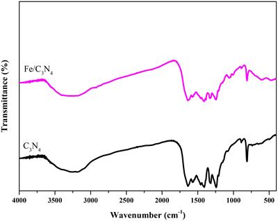 Nanostructure-assisted drought tolerance in olive trees (Olea europaea L.): the role of Fe2O3-graphitic carbon